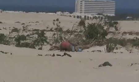 انجمن روی سکس با خارجی یک قایق بادبانی زیبا با مرغ