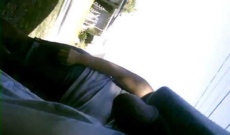 گربه گربه در دانلود بازی سکسی خارجی گروه های پورنو